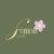 Sunbeam_Studio