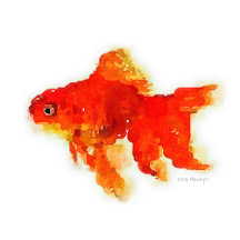 Mozayix: Sleeping Goldfish Watercolor