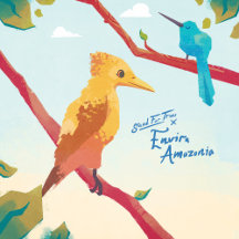 The Envira Amazonia Collection