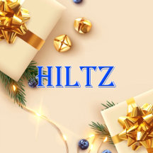 Hiltz_Name T-Shirt