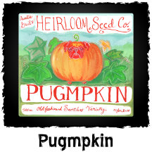 Pugmpkin