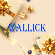 Wallick_Name T-Shirt