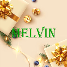 Melvin Name T-Shirt