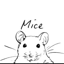 Mice