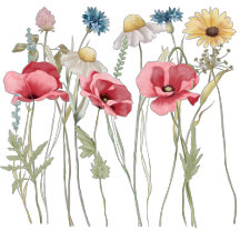 Meadow flowers prints