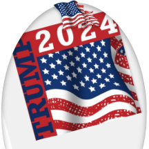 Election 2024 Stickers