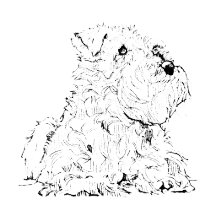 Schnauzer Art Collection
