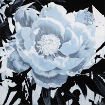 "Peony For Your Thoughts"