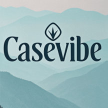 CaseVibe