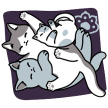 Meow Pounce Snuggle – Cute Sleeping Cats
