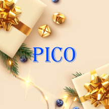 Pico_Name T-Shirt