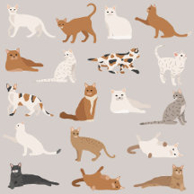  Charming Cat Pattern Collection