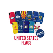 American States IPhone Cases