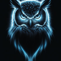 Binder Divers Série 1