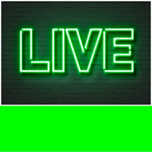 Neon Electric Green Solid Color