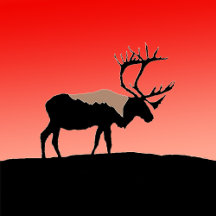 Wild Animal Graphics Phone Cases