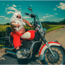 Pillioness Motorcycle Christmas tshirts