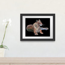 Regal Colorful Tiger