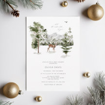 Let The Adventure Begin