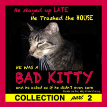 Bad Kitty Collection 2 by MomCat.org
