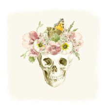 Vintage Skull with Butterfly