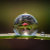 BioVisual