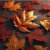 Autumn Leaves