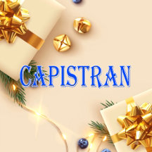 Capistran_Name T-Shirt