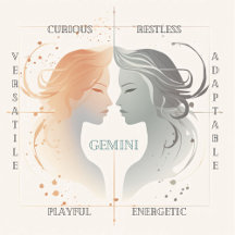 Zodiac Themed Designs at Enchanted Spaces