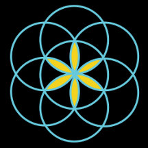 Sacred Geometry - Flower Of Life