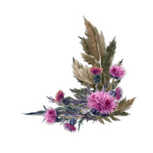 THISTLEBROOK CARD SHOP & GOODIES