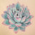 Succulicious