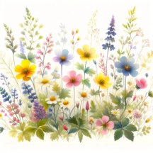 Watercolor Wildflowers 