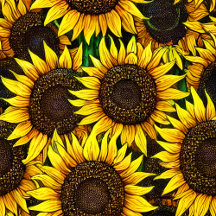 Sunny Large Sunflowers Pattern