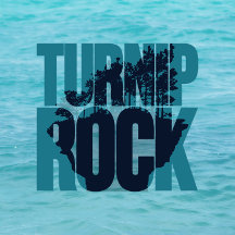 Michigan (MI) Turnip Rock