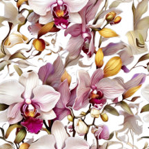 Orchid Elegance