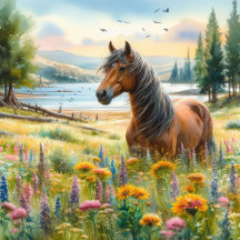 Horse Lovers Cards and Gifts