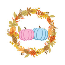 Pumpkin Gender Reveal