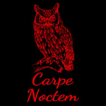 Carpe Noctem Owl Graphic