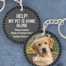 MODERN PAWPRINT BORDER Design Pet Supplies