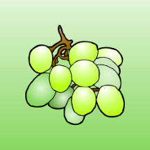 Fruits and Berries Collection