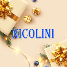 Nicolini_Name T-Shirt