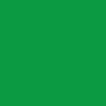Traditional Christmas Colors - Bright Green