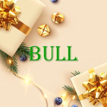 Bull Name Shirt Bull_collection