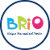 BrioParty