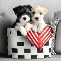 Valentine Dogs