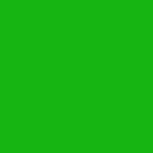 Green Color Party Supplies