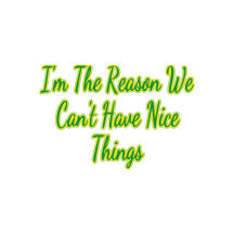 I’m the Reason we can’t have Nice Things