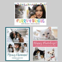 Cat Christmas Cards