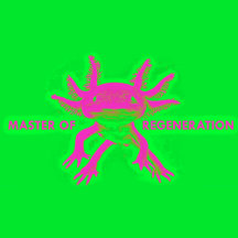 AXOLOTL 2023: Master of Regeneration